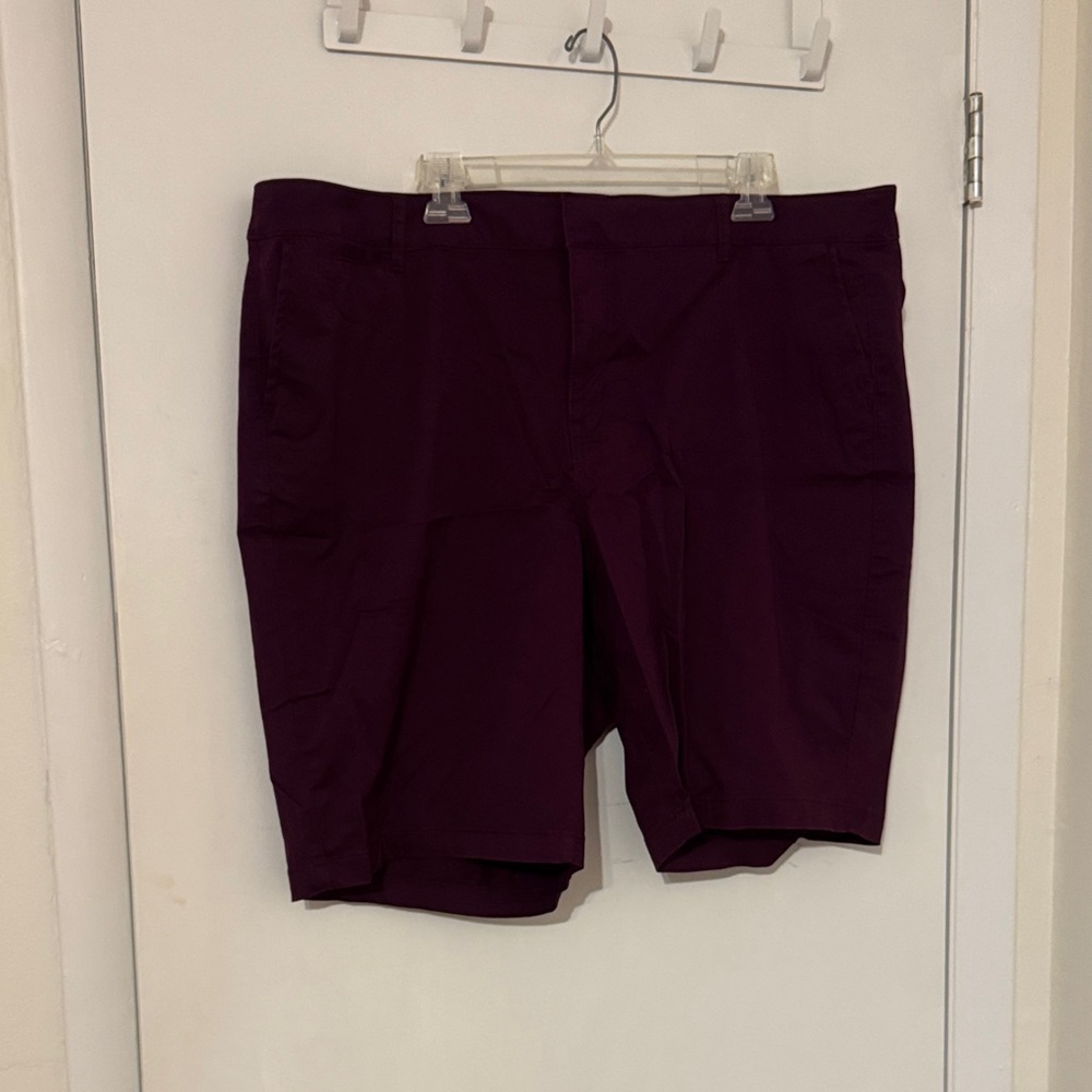 Lane Bryant Women’s Purple Shorts